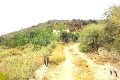 House for sale in Lucar, Almeria, Spain 3 bedrooms, 350 sq.m. No. 184100 - photo 7