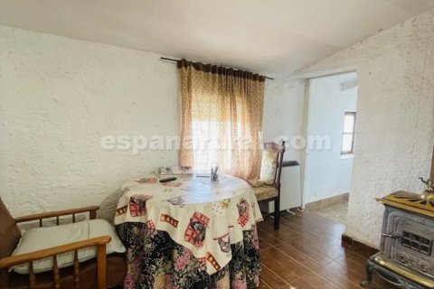 Продажа дома в Суфли, Альмерия, Испания 3 спальни, 110м2 №184093 - фото 7