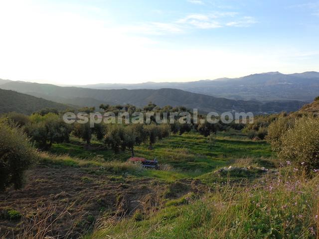 Talo Sufli, Almeria, Espanja 3 makuuhuonetta, 110 m2 No. 184093