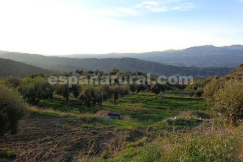 Продажа дома в Суфли, Альмерия, Испания 3 спальни, 110м2 №184093 - фото 27