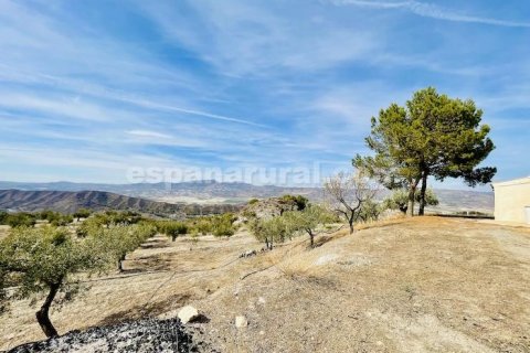 Продажа дома в Суфли, Альмерия, Испания 3 спальни, 110м2 №184093 - фото 26