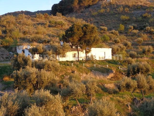 Talo Sufli, Almeria, Espanja 3 makuuhuonetta, 110 m2 No. 184093