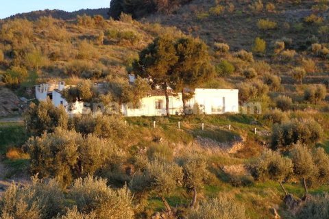 Продажа дома в Суфли, Альмерия, Испания 3 спальни, 110м2 №184093 - фото 28