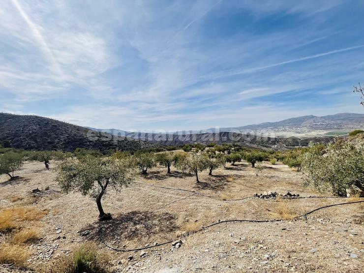 Talo Sufli, Almeria, Espanja 3 makuuhuonetta, 110 m2 No. 184093