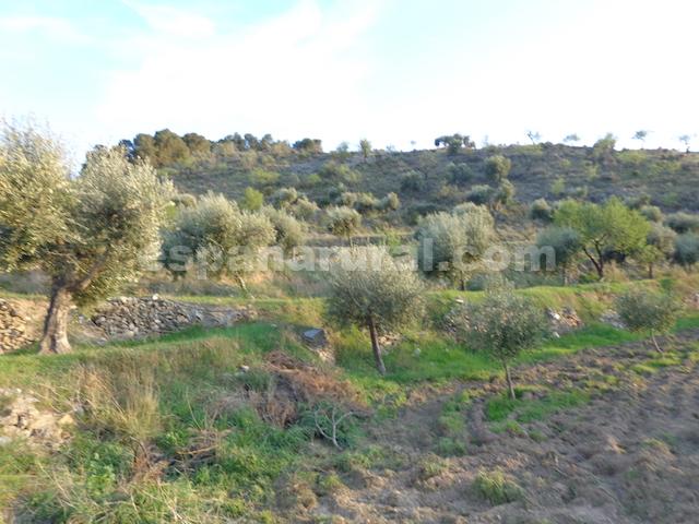 Talo Sufli, Almeria, Espanja 3 makuuhuonetta, 110 m2 No. 184093