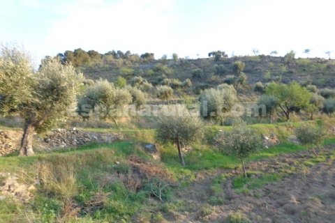 Продажа дома в Суфли, Альмерия, Испания 3 спальни, 110м2 №184093 - фото 23