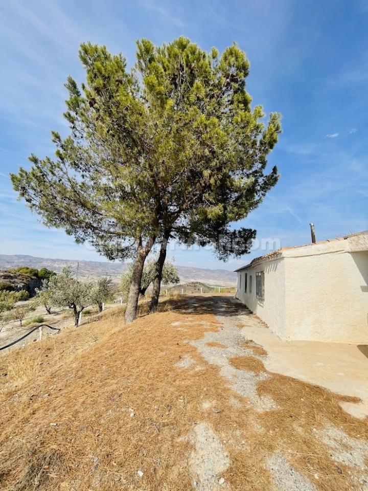 Talo Sufli, Almeria, Espanja 3 makuuhuonetta, 110 m2 No. 184093