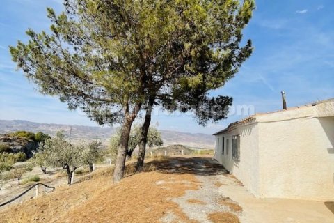 Продажа дома в Суфли, Альмерия, Испания 3 спальни, 110м2 №184093 - фото 18