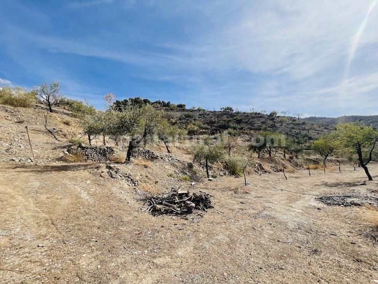 Talo Sufli, Almeria, Espanja 3 makuuhuonetta, 110 m2 No. 184093