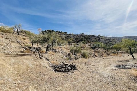 Продажа дома в Суфли, Альмерия, Испания 3 спальни, 110м2 №184093 - фото 21
