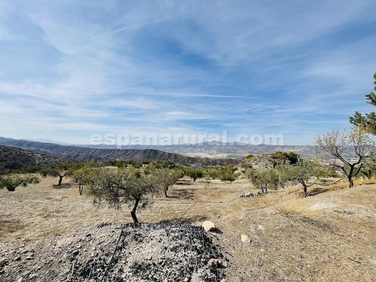 Talo Sufli, Almeria, Espanja 3 makuuhuonetta, 110 m2 No. 184093