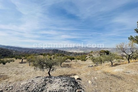 Продажа дома в Суфли, Альмерия, Испания 3 спальни, 110м2 №184093 - фото 25