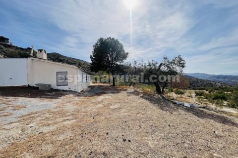 Продажа дома в Суфли, Альмерия, Испания 3 спальни, 110м2 №184093 - фото 20