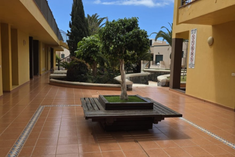 Apartment à vendre à Costa del Silencio, Tenerife, Espagne, 2 chambres, 68 m2 No. 194476 - photo 13