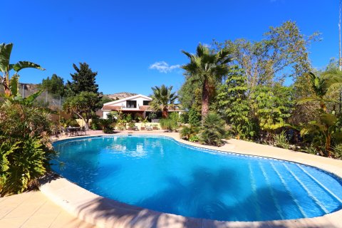 Finca in Aspe, Alicante, Spain 5 bedrooms, 360 sq.m. No. 146575