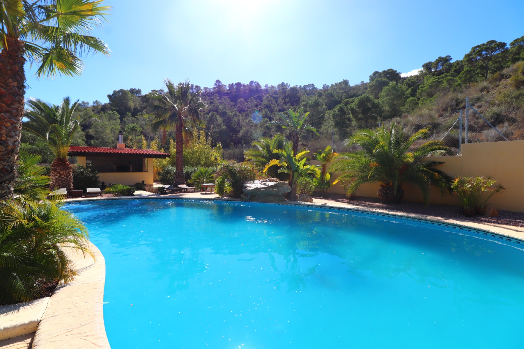 Finca a Aspe, Alicante, Spagna 5 camere da letto, 360 mq. N° 146575
