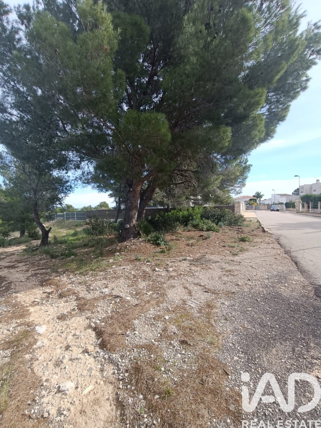 Tontti L'Ametlla de Mar, Tarragona, Espanja 800 m2 No. 185483