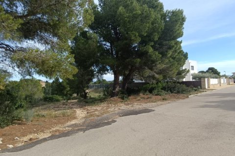 Tontti myytävänä L'Ametlla de Mar, Tarragona, Espanja , 800 m2 No. 185483 - kuva 3