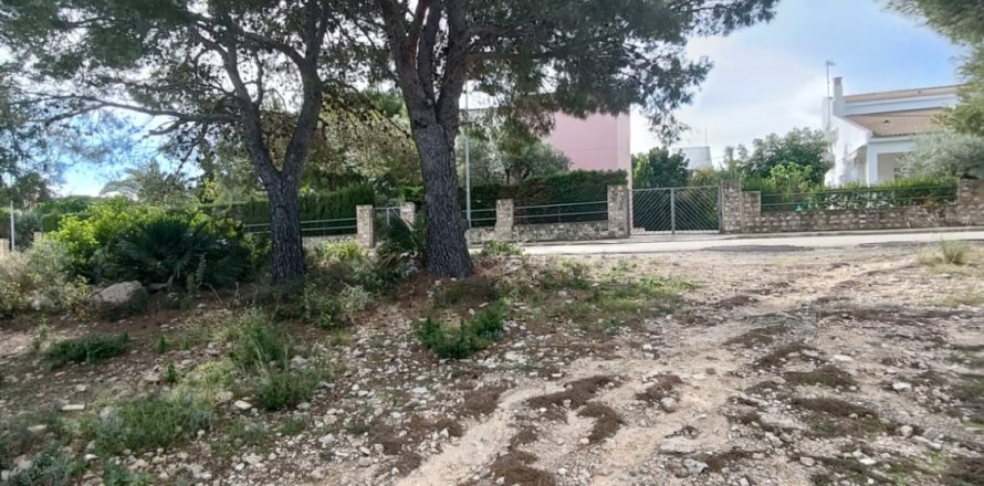 Tontti L'Ametlla de Mar, Tarragona, Espanja 800 m2 No. 185483