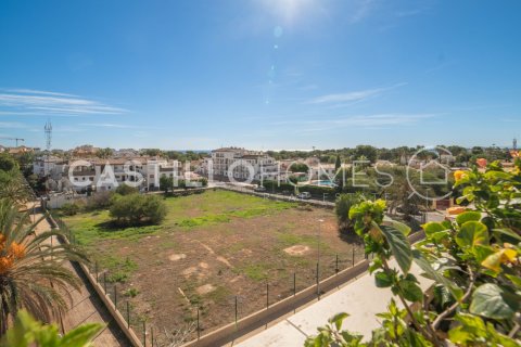 Apartament Punta Prima, Alicante, Hiszpania 2 sypialnie, 97 mkw. nr 140012 – zdjęcie 23