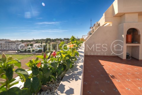 Apartament Punta Prima, Alicante, Hiszpania 2 sypialnie, 97 mkw. nr 140012 – zdjęcie 21