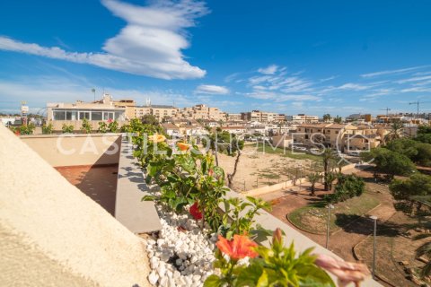 Apartament Punta Prima, Alicante, Hiszpania 2 sypialnie, 97 mkw. nr 140012 – zdjęcie 18