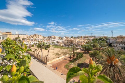 Apartament Punta Prima, Alicante, Hiszpania 2 sypialnie, 97 mkw. nr 140012 – zdjęcie 20