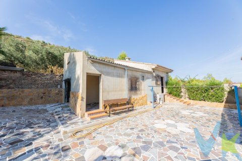 Villa pārdošanā Turis, Valencia, Spānijā 4 istabas, 183 m2 Nr. 183683 - attēls 28