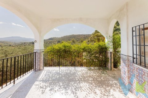 Villa i Turis, Valencia, Spanien 4 sovrum, 183 kvm. Nr. 183683