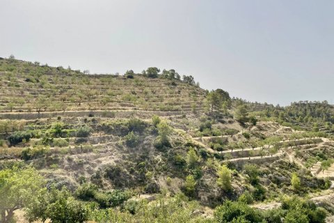 Land plot à vendre à Sella, Alicante, EspagneNo. 183686 - photo 7