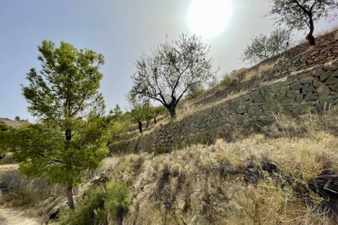 Land plot à vendre à Sella, Alicante, EspagneNo. 183686 - photo 13
