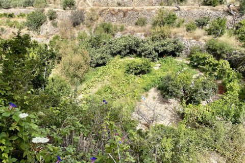 Land plot à vendre à Sella, Alicante, EspagneNo. 183686 - photo 11