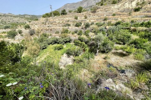 Land plot à vendre à Sella, Alicante, EspagneNo. 183686 - photo 12
