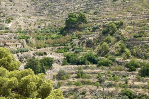 Land plot à vendre à Sella, Alicante, EspagneNo. 183686 - photo 3