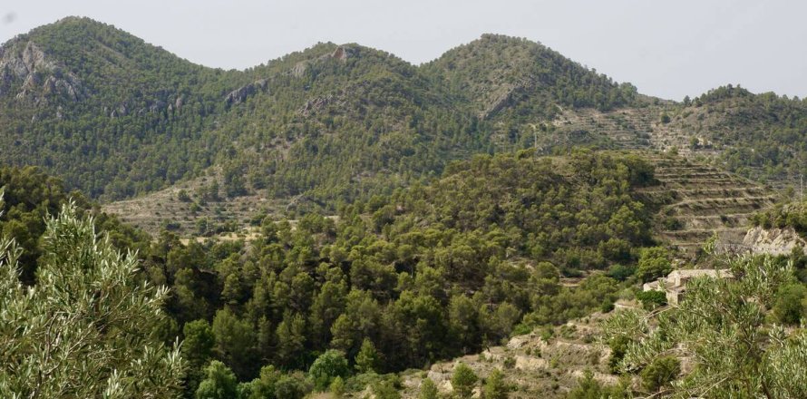Land plot à Sella, Alicante, Espagne No. 183686