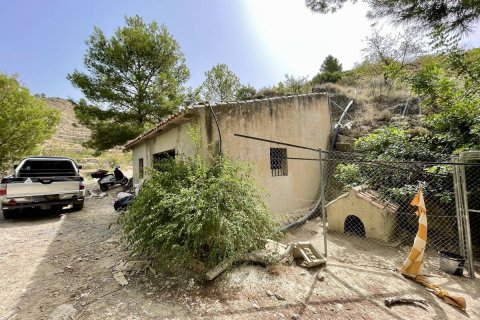 Land plot à vendre à Sella, Alicante, EspagneNo. 183686 - photo 9