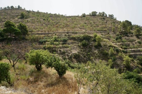 Land plot à vendre à Sella, Alicante, EspagneNo. 183686 - photo 5