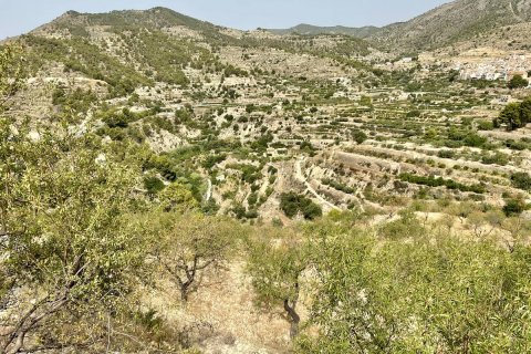 Land plot à vendre à Sella, Alicante, EspagneNo. 183686 - photo 15