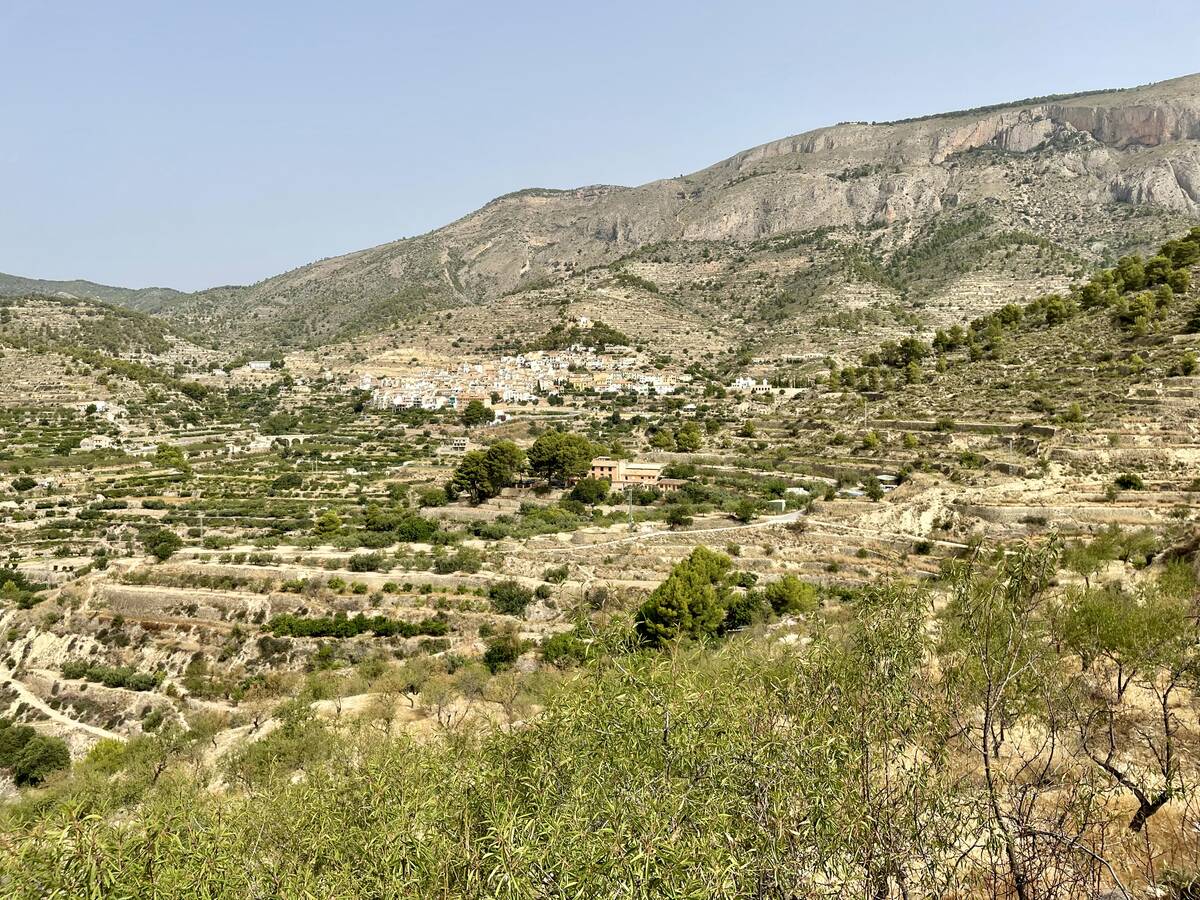Działka w Sella, Alicante, Hiszpania nr 183686