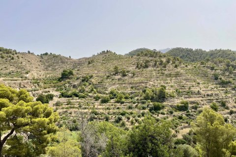 Land plot à vendre à Sella, Alicante, EspagneNo. 183686 - photo 6