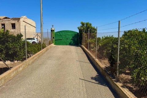 Finca à vendre à Rojales, Alicante, Espagne, 2 chambres, 198 m2 No. 148902 - photo 27
