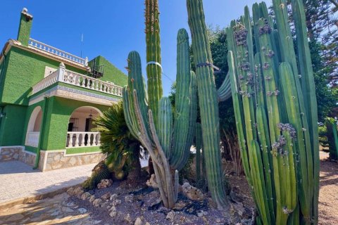 Finca à vendre à Rojales, Alicante, Espagne, 2 chambres, 198 m2 No. 148902 - photo 30