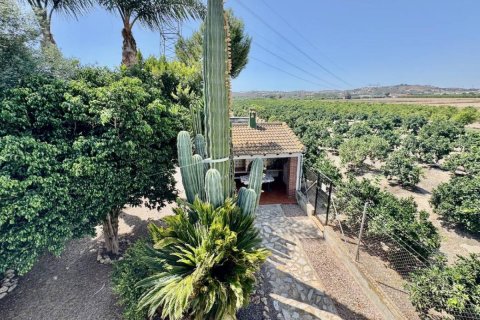 Finca à vendre à Rojales, Alicante, Espagne, 2 chambres, 198 m2 No. 148902 - photo 29