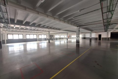 Gewerbeimmobilien zur Miete in Principado De Andorra (Ninguna Poblacion Tiene C.P.), Lleida, Spanien 7623 m2 Nr. 160510 - Foto 13