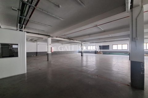 Gewerbeimmobilien zur Miete in Principado De Andorra (Ninguna Poblacion Tiene C.P.), Lleida, Spanien 7623 m2 Nr. 160510 - Foto 8