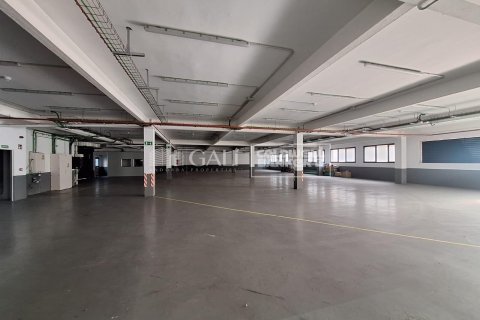 Gewerbeimmobilien zur Miete in Principado De Andorra (Ninguna Poblacion Tiene C.P.), Lleida, Spanien 7623 m2 Nr. 160510 - Foto 11