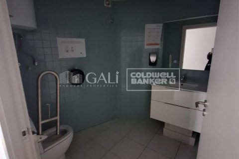 Gewerbeimmobilien zur Miete in Principado De Andorra (Ninguna Poblacion Tiene C.P.), Lleida, Spanien 7623 m2 Nr. 160510 - Foto 22