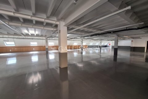 Gewerbeimmobilien zur Miete in Principado De Andorra (Ninguna Poblacion Tiene C.P.), Lleida, Spanien 7623 m2 Nr. 160510 - Foto 12