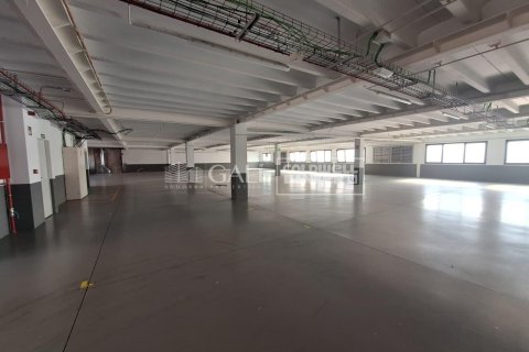 Gewerbeimmobilien zur Miete in Principado De Andorra (Ninguna Poblacion Tiene C.P.), Lleida, Spanien 7623 m2 Nr. 160510 - Foto 14