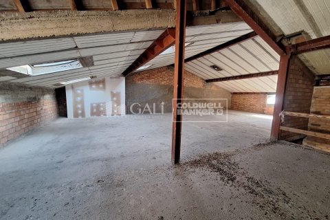 Gewerbeimmobilien zur Miete in Principado De Andorra (Ninguna Poblacion Tiene C.P.), Lleida, Spanien 7623 m2 Nr. 160510 - Foto 26